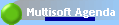Multisoft Agenda
