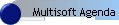 Multisoft Agenda