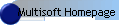 Multisoft Homepage