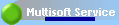 Multisoft Service