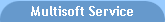 Multisoft Service