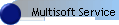 Multisoft Service